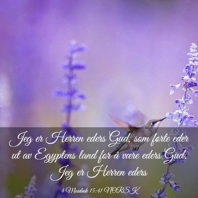 Picture 03 - 4 Mosebok 15:41 NORSK - Jeg er Herren eders Gud, som førte eder ut av - Bible Verse Picture