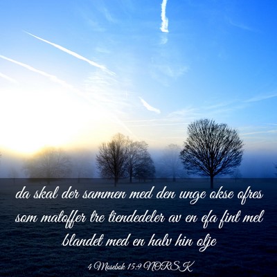 Picture 03 - 4 Mosebok 15:9 NORSK - da skal der sammen med den unge okse ofres som - Bible Verse Picture