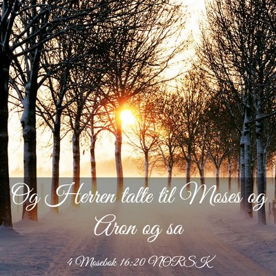 Picture 03 - 4 Mosebok 16:20 NORSK - Og Herren talte til Moses og Aron og - Bible Verse Picture