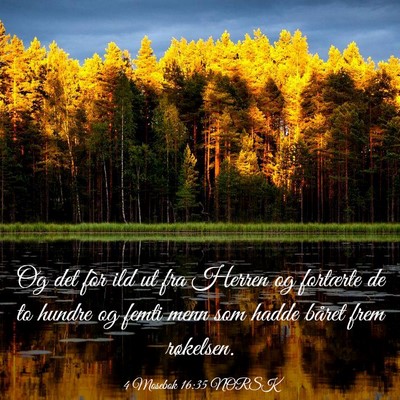 Picture 03 - 4 Mosebok 16:35 NORSK - Og det fòr ild ut fra Herren og fortærte de to - Bible Verse Picture