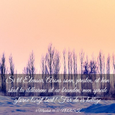 Picture 03 - 4 Mosebok 16:37 NORSK - Si til Eleasar, Arons sønn, presten, at han skal - Bible Verse Picture