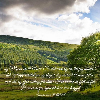 Picture 03 - 4 Mosebok 16:46 NORSK - og Moses sa til Aron: Ta ildkaret og ha ild fra - Bible Verse Picture