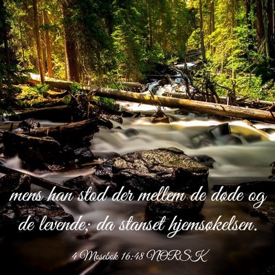 Picture 03 - 4 Mosebok 16:48 NORSK - mens han stod der mellem de døde og de levende; - Bible Verse Picture