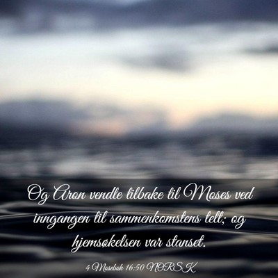 Picture 03 - 4 Mosebok 16:50 NORSK - Og Aron vendte tilbake til Moses ved inngangen - Bible Verse Picture