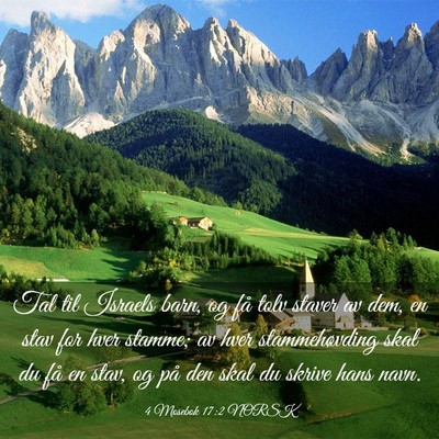 Picture 03 - 4 Mosebok 17:2 NORSK - Tal til Israels barn, og få tolv staver av dem, - Bible Verse Picture