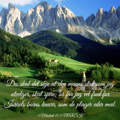 Picture 03 - 4 Mosebok 17:5 NORSK - Da skal det skje at den manns stav som jeg - Bible Verse Picture