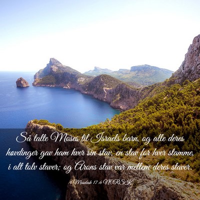 Picture 03 - 4 Mosebok 17:6 NORSK - Så talte Moses til Israels barn, og alle deres - Bible Verse Picture