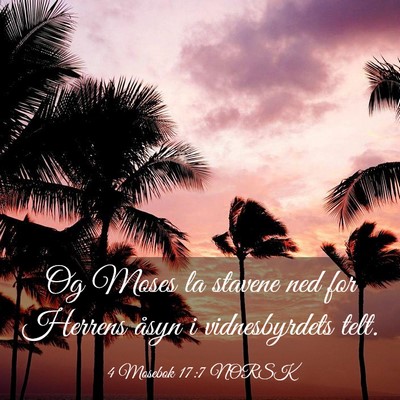 Picture 03 - 4 Mosebok 17:7 NORSK - Og Moses la stavene ned for Herrens åsyn i - Bible Verse Picture