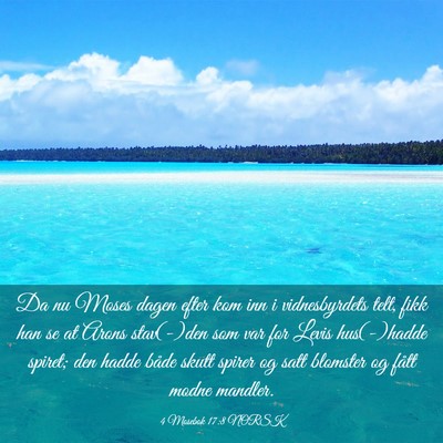 Picture 03 - 4 Mosebok 17:8 NORSK - Da nu Moses dagen efter kom inn i vidnesbyrdets - Bible Verse Picture