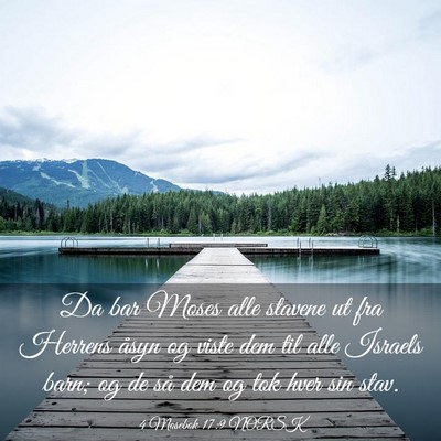 Picture 03 - 4 Mosebok 17:9 NORSK - Da bar Moses alle stavene ut fra Herrens åsyn og - Bible Verse Picture