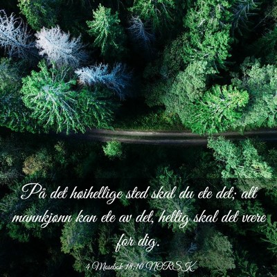 Picture 03 - 4 Mosebok 18:10 NORSK - På det høihellige sted skal du ete det; alt - Bible Verse Picture