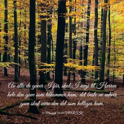 Picture 03 - 4 Mosebok 18:29 NORSK - Av alle de gaver I får, skal I avgi til Herren - Bible Verse Picture