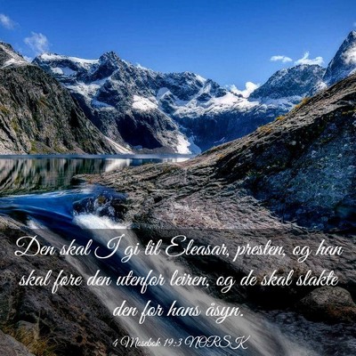 Picture 03 - 4 Mosebok 19:3 NORSK - Den skal I gi til Eleasar, presten, og han skal - Bible Verse Picture