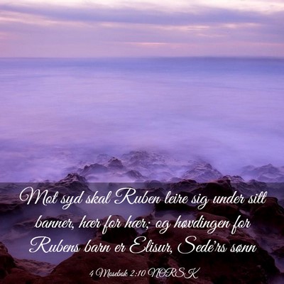 Picture 03 - 4 Mosebok 2:10 NORSK - Mot syd skal Ruben leire sig under sitt banner, - Bible Verse Picture