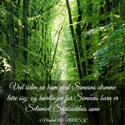 Picture 03 - 4 Mosebok 2:12 NORSK - Ved siden av ham skal Simeons stamme leire sig; - Bible Verse Picture