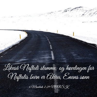 Picture 03 - 4 Mosebok 2:29 NORSK - Likeså Naftali stamme; og høvdingen for - Bible Verse Picture