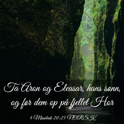Picture 03 - 4 Mosebok 20:25 NORSK - Ta Aron og Eleasar, hans sønn, og før dem op - Bible Verse Picture