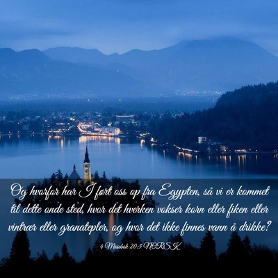 Picture 03 - 4 Mosebok 20:5 NORSK - Og hvorfor har I ført oss op fra Egypten, så vi - Bible Verse Picture