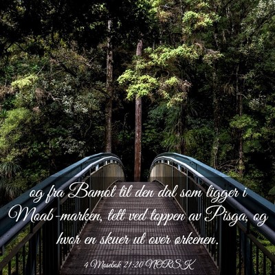 Picture 03 - 4 Mosebok 21:20 NORSK - og fra Bamot til den dal som ligger i - Bible Verse Picture