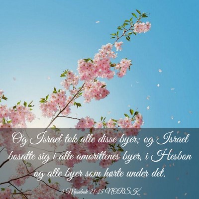 Picture 03 - 4 Mosebok 21:25 NORSK - Og Israel tok alle disse byer; og Israel bosatte - Bible Verse Picture