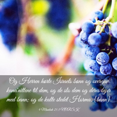 Picture 03 - 4 Mosebok 21:3 NORSK - Og Herren hørte Israels bønn og overgav - Bible Verse Picture