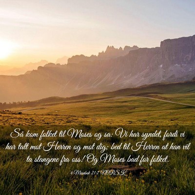 Picture 03 - 4 Mosebok 21:7 NORSK - Så kom folket til Moses og sa: Vi har syndet, - Bible Verse Picture