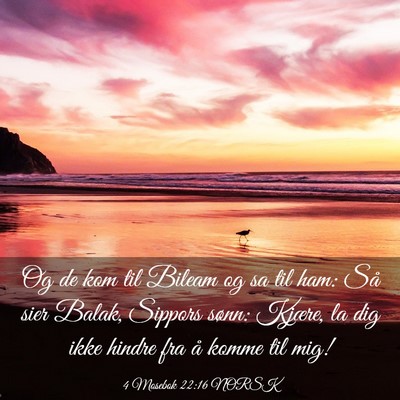 Picture 03 - 4 Mosebok 22:16 NORSK - Og de kom til Bileam og sa til ham: Så sier - Bible Verse Picture