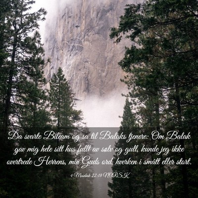 Picture 03 - 4 Mosebok 22:18 NORSK - Da svarte Bileam og sa til Balaks tjenere: Om - Bible Verse Picture