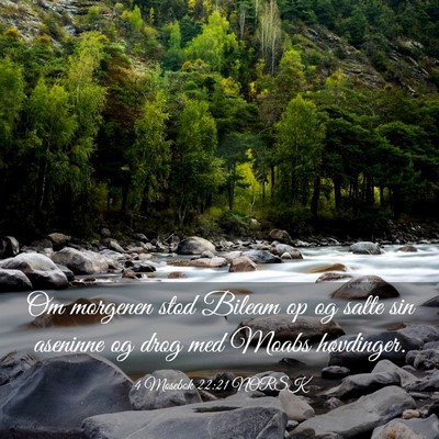 Picture 03 - 4 Mosebok 22:21 NORSK - Om morgenen stod Bileam op og salte sin aseninne - Bible Verse Picture