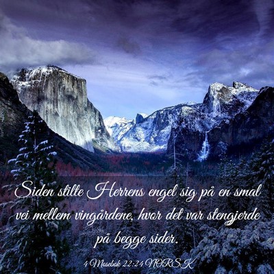 Picture 03 - 4 Mosebok 22:24 NORSK - Siden stilte Herrens engel sig på en smal vei - Bible Verse Picture