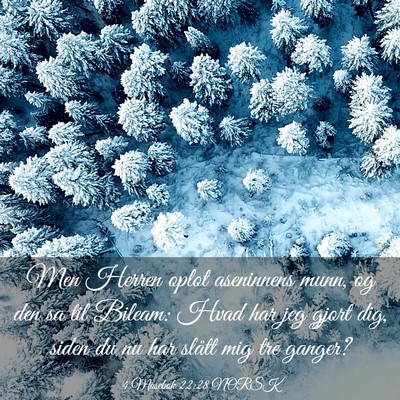 Picture 03 - 4 Mosebok 22:28 NORSK - Men Herren oplot aseninnens munn, og den sa til - Bible Verse Picture