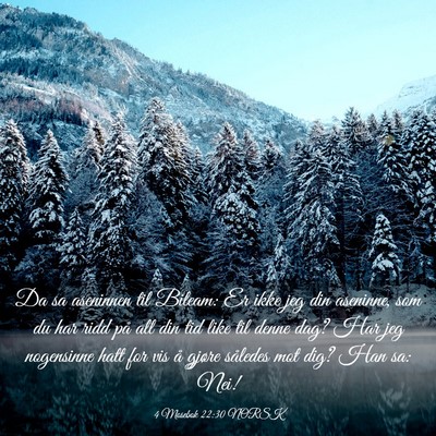 Picture 03 - 4 Mosebok 22:30 NORSK - Da sa aseninnen til Bileam: Er ikke jeg din - Bible Verse Picture