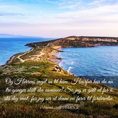 Picture 03 - 4 Mosebok 22:32 NORSK - Og Herrens engel sa til ham: Hvorfor har du nu - Bible Verse Picture