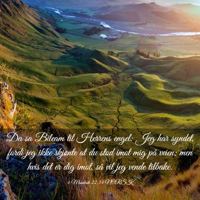 Picture 03 - 4 Mosebok 22:34 NORSK - Da sa Bileam til Herrens engel: Jeg har syndet, - Bible Verse Picture