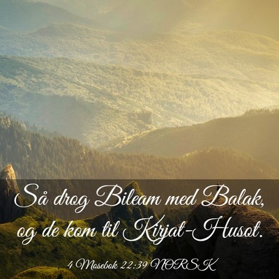 Picture 03 - 4 Mosebok 22:39 NORSK - Så drog Bileam med Balak, og de kom til - Bible Verse Picture