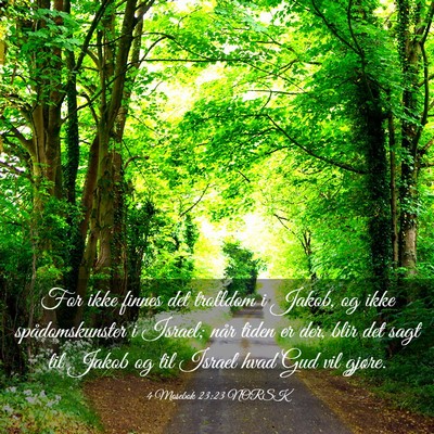 Picture 03 - 4 Mosebok 23:23 NORSK - For ikke finnes det trolldom i Jakob, og ikke - Bible Verse Picture
