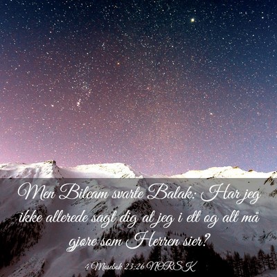 Picture 03 - 4 Mosebok 23:26 NORSK - Men Bileam svarte Balak: Har jeg ikke allerede - Bible Verse Picture
