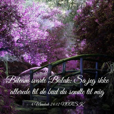 Picture 03 - 4 Mosebok 24:12 NORSK - Bileam svarte Balak: Sa jeg ikke allerede til de - Bible Verse Picture