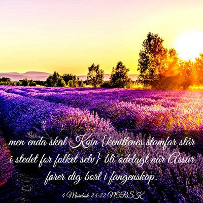 Picture 03 - 4 Mosebok 24:22 NORSK - men enda skal Kain {kenittenes stamfar står i - Bible Verse Picture