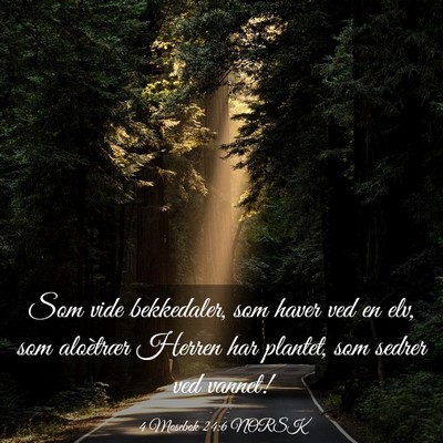 Picture 03 - 4 Mosebok 24:6 NORSK - Som vide bekkedaler, som haver ved en elv, som - Bible Verse Picture