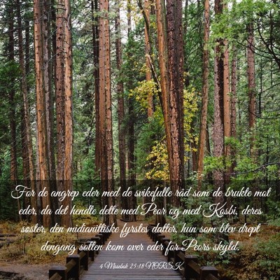 Picture 03 - 4 Mosebok 25:18 NORSK - For de angrep eder med de svikefulle råd som de - Bible Verse Picture