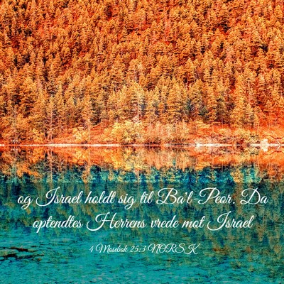 Picture 03 - 4 Mosebok 25:3 NORSK - og Israel holdt sig til Ba'l-Peor. Da optendtes - Bible Verse Picture