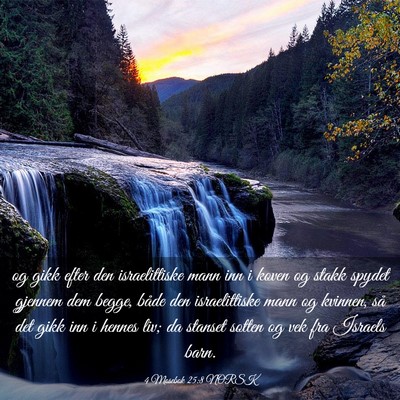 Picture 03 - 4 Mosebok 25:8 NORSK - og gikk efter den israelittiske mann inn i koven - Bible Verse Picture