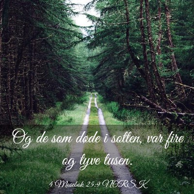 Picture 03 - 4 Mosebok 25:9 NORSK - Og de som døde i sotten, var fire og tyve - Bible Verse Picture