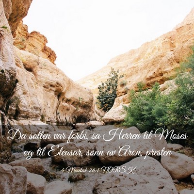 Picture 03 - 4 Mosebok 26:1 NORSK - Da sotten var forbi, sa Herren til Moses og til - Bible Verse Picture