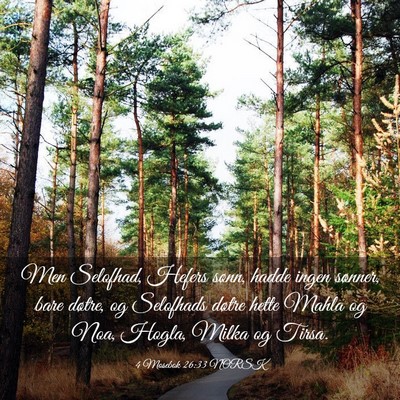 Picture 03 - 4 Mosebok 26:33 NORSK - Men Selofhad, Hefers sønn, hadde ingen sønner, - Bible Verse Picture