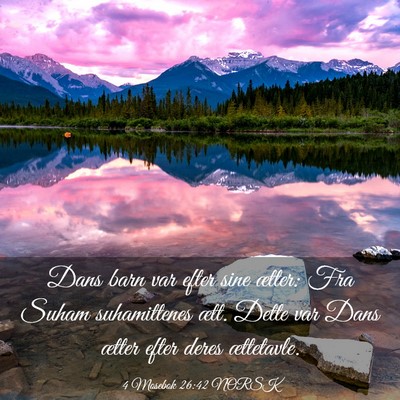 Picture 03 - 4 Mosebok 26:42 NORSK - Dans barn var efter sine ætter: Fra Suham - Bible Verse Picture