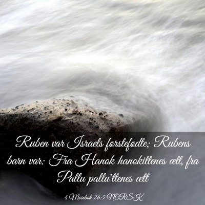 Picture 03 - 4 Mosebok 26:5 NORSK - Ruben var Israels førstefødte; Rubens barn var: - Bible Verse Picture