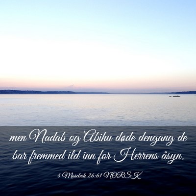 Picture 03 - 4 Mosebok 26:61 NORSK - men Nadab og Abihu døde dengang de bar fremmed - Bible Verse Picture