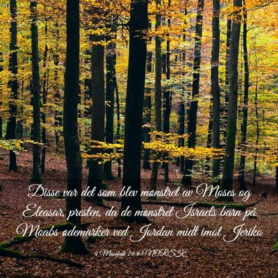 Picture 03 - 4 Mosebok 26:63 NORSK - Disse var det som blev mønstret av Moses og - Bible Verse Picture